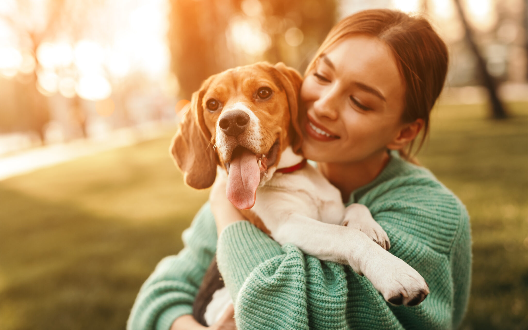 5 Ways to Strengthen Your Bond With Your Dog - Nuzzle 