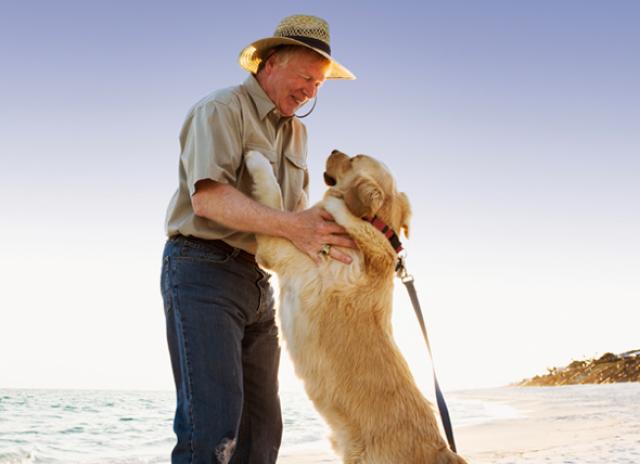 Dog Training Tips: How To Stop Your Dog From Jumping On People