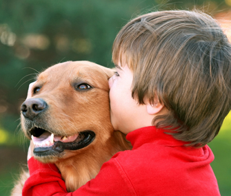 Dog breeds for Children