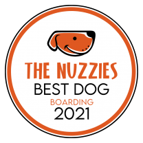 Best-Dog-Boarding-Award-The-Nuzzies-oyjpgohtz63bfdhxlazxgtsy9oa1gix77yh1rmr9r4