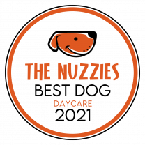 Best Dog Daycare Award - The Nuzzies